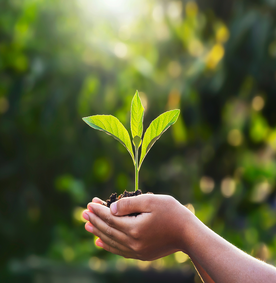 engagements environnement